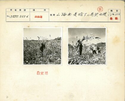 丰收季节的田野与群山.jpg