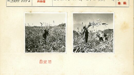 丰收季节的田野与群山.jpg