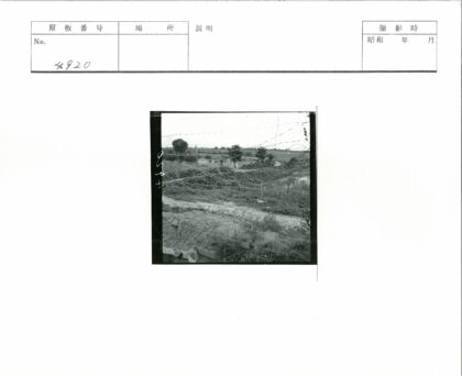乡村土路与田野小村.jpg