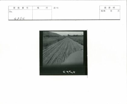 乡村土路田野轮胎痕迹.jpg