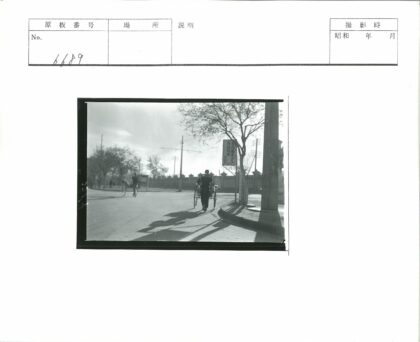人力车与自行车街景.jpg
