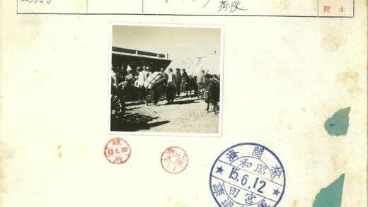 人群与马匹聚集的户外场景.jpg
