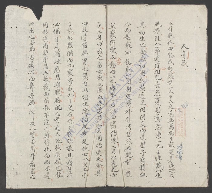 人身赋-