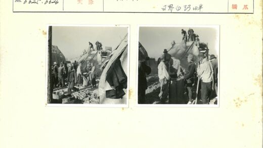 传统农忙机械收割场景.jpg