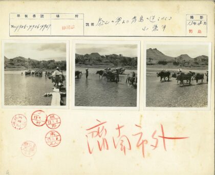 传统农耕生活与自然风光.jpg