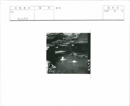 传统屋顶喷泉池塘绿意庭院.jpg