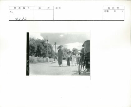 传统帽行人绿荫路人力车.jpg