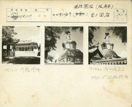 传统建筑与佛塔的宁静绿荫.jpg