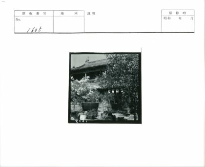 传统建筑与庭院盆栽景观.jpg