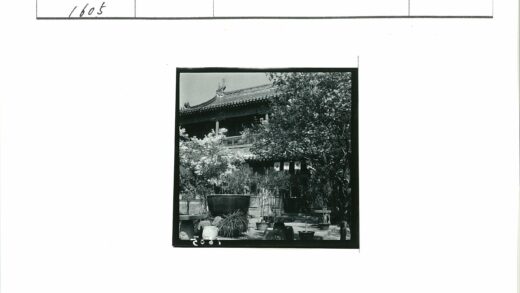 传统建筑与庭院盆栽景观.jpg