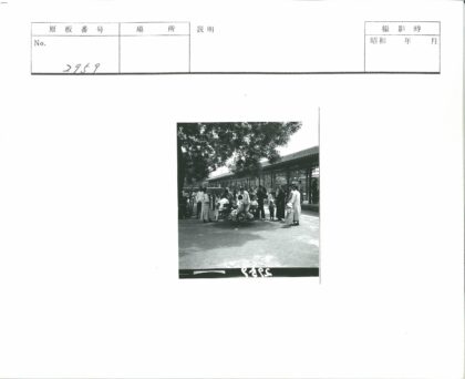 传统建筑与树木下的人群.jpg