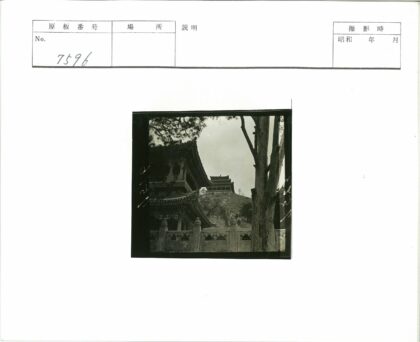 传统建筑与自然山坡景观.jpg