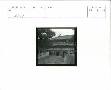 传统建筑入口阶梯与大树景观.jpg