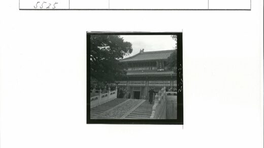 传统建筑入口阶梯与大树景观.jpg