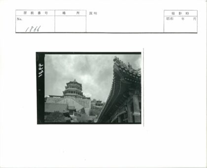传统建筑华丽屋顶与绿荫.jpg