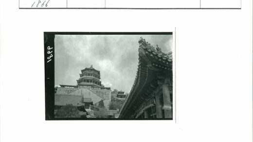 传统建筑华丽屋顶与绿荫.jpg