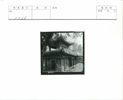 传统建筑华丽屋顶与自然景观.jpg