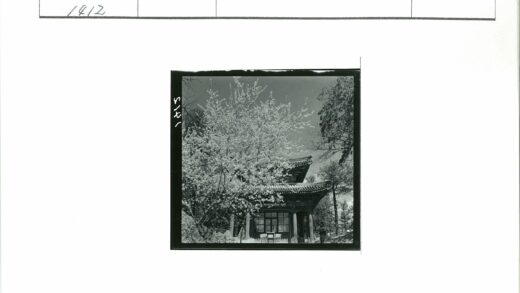 传统建筑华丽屋顶春景.jpg