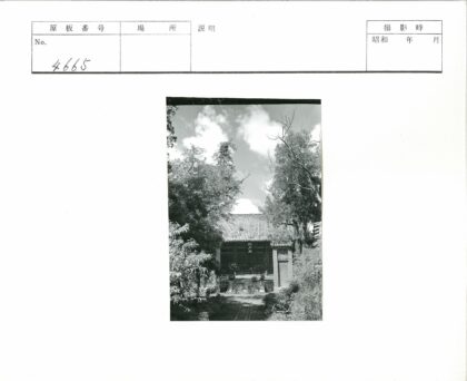 传统建筑华丽屋顶绿树环绕.jpg
