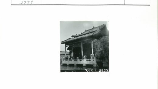 传统建筑水畔柳树景.jpg