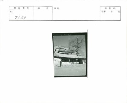 传统建筑瓦顶人物与枯树山坡.jpg