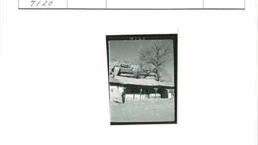 传统建筑瓦顶人物与枯树山坡.jpg