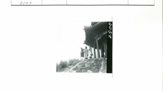 传统建筑石阶人群与华丽屋顶.jpg