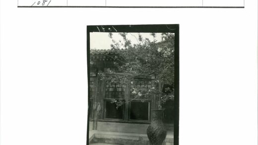 传统建筑窗前花树与花瓶.jpg
