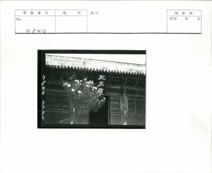 传统建筑立面与瓦顶木门开花植物.jpg