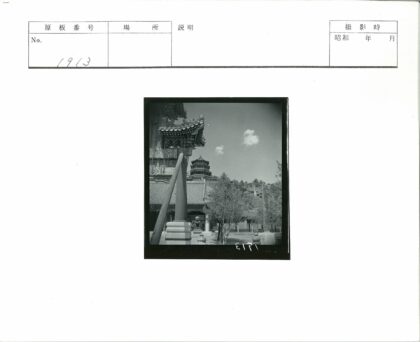 传统建筑雕刻与宝塔屋顶景观.jpg