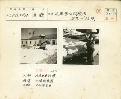 传统棉纺工艺户外劳作.jpg