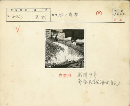 传统棉纺工艺户外劳作.jpg