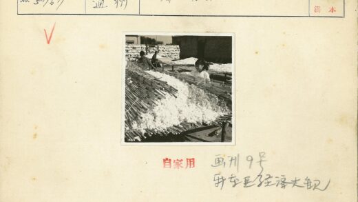 传统棉纺工艺户外劳作.jpg