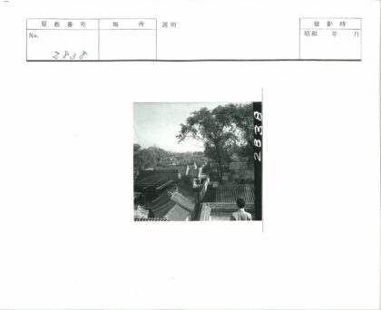 传统瓦顶与绿树相映.jpg