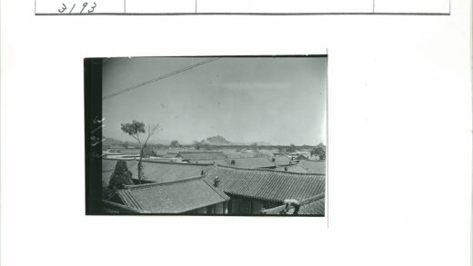 传统瓦顶与远山建筑风光.jpg