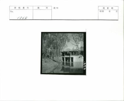 传统瓦顶建筑河边垂树景.jpg