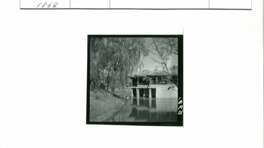 传统瓦顶建筑河边垂树景.jpg