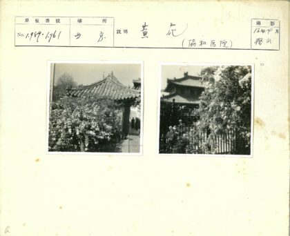传统花卉铁门与瓦顶建筑.jpg