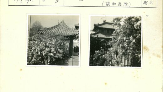传统花卉铁门与瓦顶建筑.jpg