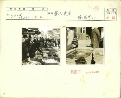 传统露天市场鱼类摊位.jpg