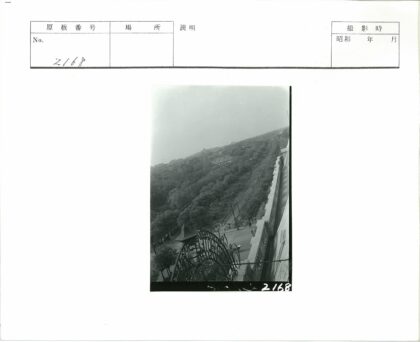 俯瞰城市街景与锻铁大门的黑白摄影.jpg