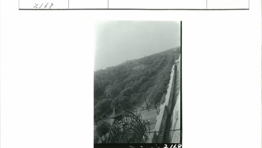 俯瞰城市街景与锻铁大门的黑白摄影.jpg