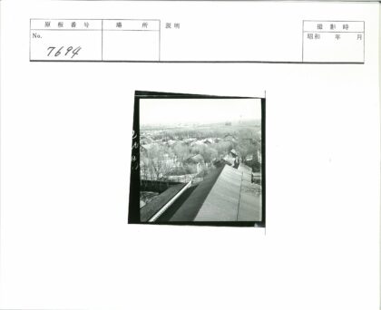 俯瞰斜顶建筑与枯树远山.jpg