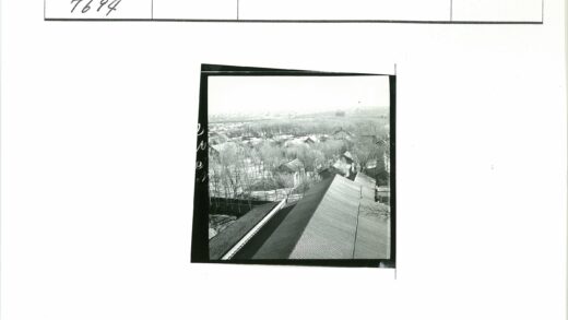 俯瞰斜顶建筑与枯树远山.jpg
