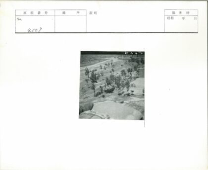 俯瞰田野与散落树木景观.jpg