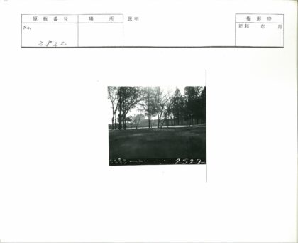 公园树林小路行人建筑黑白照.jpg