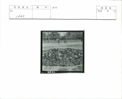 公园花坛小径与建筑树木景色.jpg