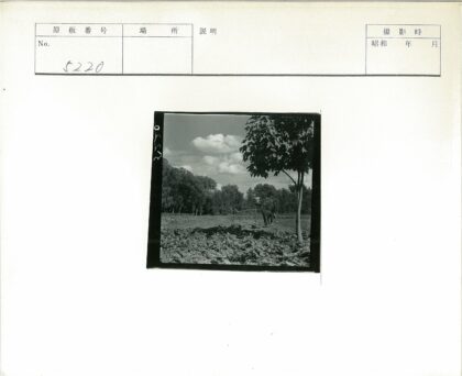 农夫耕作多云田间小树.jpg
