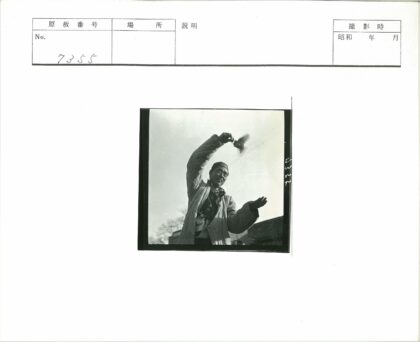 冬日举鸟人树影为伴.jpg