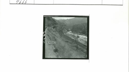 冬日枯树山坡与蜿蜒河流.jpg